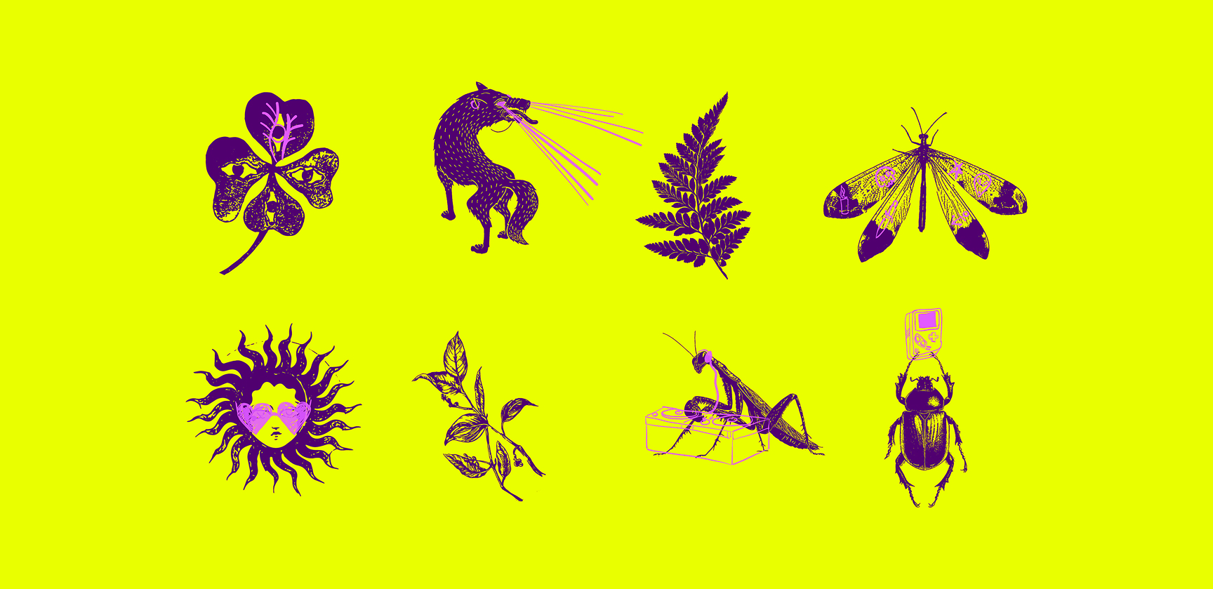 Illustrations for the LXIR brand